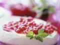 Ein cremiger Johannisbeerkuchen mit Quark, garniert mit frischen roten Johannisbeeren und grünen Blättern.