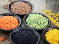 Schalen mit roten Linsen, grünen Erbsen, schwarzen Linsen und gelben Linsen. Rote Linsen Kalorien sind gering, perfekt für eine gesunde Ernährung.