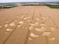Ein Kornfeld zeigt ein komplexes Muster, das an eine Blüte erinnert. Menschen erkunden die Formation, die zeigt, wie wird Reis geerntet.
