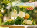 Zwei Gläser mit Limoncello Spritz, garniert mit Zitrone und Minze. Frische Zitronen und Blätter liegen daneben.