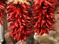 Zwei Stränge getrockneter, leuchtend roter Peperoncini hängen nebeneinander. Sie sind an Stroh gebunden und warten darauf, als scharfe Würze zu dienen.