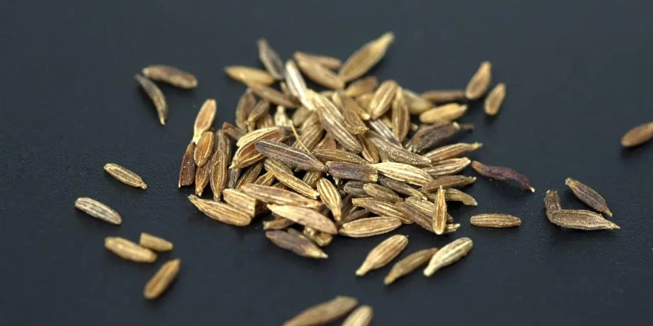 Ein Haufen brauner Kümmelsamen auf schwarzem Hintergrund. Was ist Cumin? Das sind diese Samen, die Gerichten ein würziges Aroma verleihen.