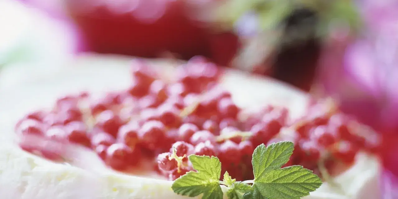Ein cremiger Johannisbeerkuchen mit Quark, garniert mit frischen roten Johannisbeeren und grünen Blättern.