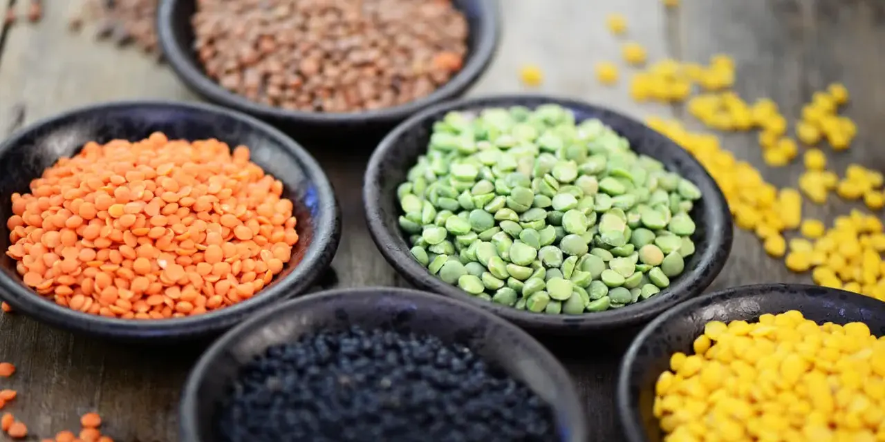 Schalen mit roten Linsen, grünen Erbsen, schwarzen Linsen und gelben Linsen. Rote Linsen Kalorien sind gering, perfekt für eine gesunde Ernährung.