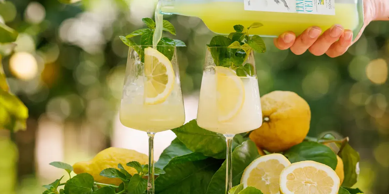 Zwei Gläser mit Limoncello Spritz, garniert mit Zitrone und Minze. Frische Zitronen und Blätter liegen daneben.