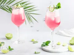 Zwei Sarti Spritz Cocktails mit Eis, Limettenscheiben und Minze, garniert mit einer Palmblatt-Deko.