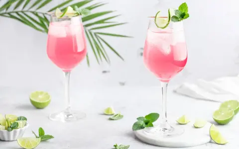 Zwei Sarti Spritz Cocktails mit Eis, Limettenscheiben und Minze, garniert mit einer Palmblatt-Deko.