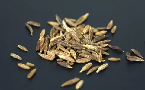 Ein Haufen brauner Kümmelsamen auf schwarzem Hintergrund. Was ist Cumin? Das sind diese Samen, die Gerichten ein würziges Aroma verleihen.