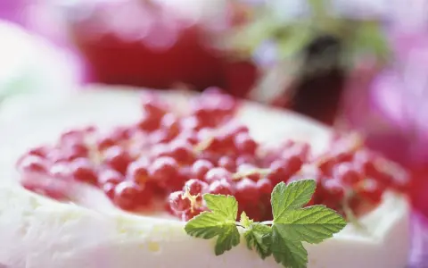 Ein cremiger Johannisbeerkuchen mit Quark, garniert mit frischen roten Johannisbeeren und grünen Blättern.