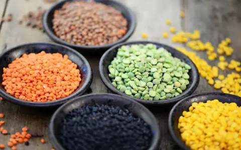Schalen mit roten Linsen, grünen Erbsen, schwarzen Linsen und gelben Linsen. Rote Linsen Kalorien sind gering, perfekt für eine gesunde Ernährung.