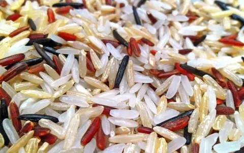 Ein bunter Mix aus weißem, rotem und schwarzem Reis, der an Basmati oder Jasmin Reis erinnert.
