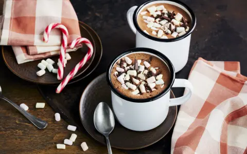 Zwei Tassen heißer Kakao mit Marshmallows und Schokostückchen, daneben Zuckerstangen und eine karierte Serviette.