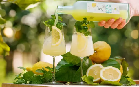 Zwei Gläser mit Limoncello Spritz, garniert mit Zitrone und Minze. Frische Zitronen und Blätter liegen daneben.
