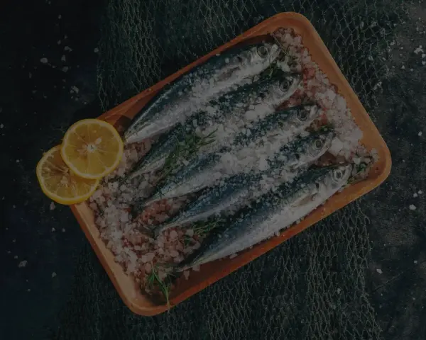 Frische Sardinen und Sardellen auf einem Holzbrett mit Zitrone und Kräutern, bereit für die Zubereitung. Der Unterschied zwischen Sardinen und Sardellen ist hier nicht ersichtlich.