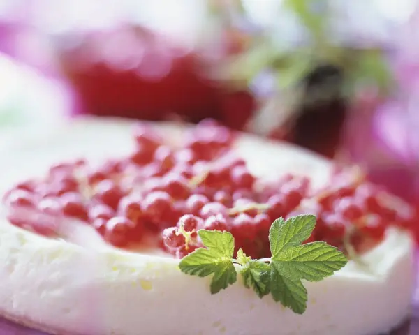 Ein cremiger Johannisbeerkuchen mit Quark, garniert mit frischen roten Johannisbeeren und grünen Blättern.
