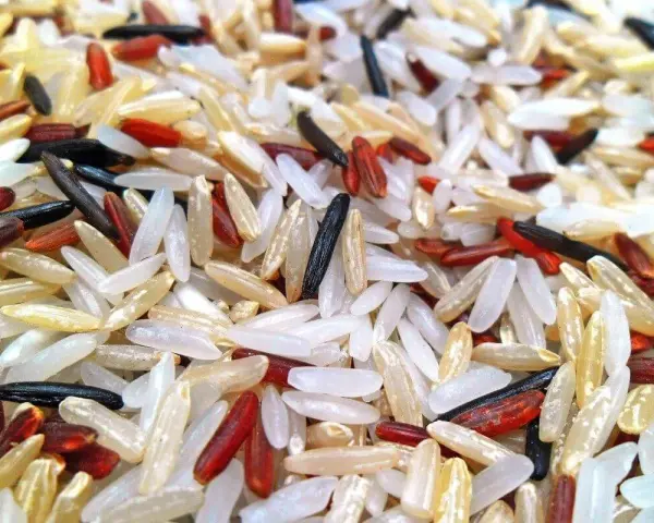 Ein bunter Mix aus weißem, rotem und schwarzem Reis, der an Basmati oder Jasmin Reis erinnert.