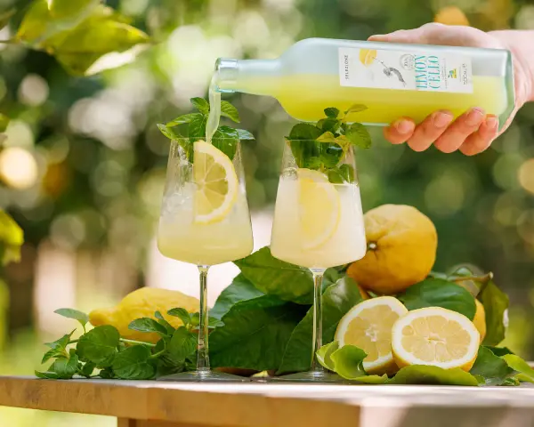 Zwei Gläser mit Limoncello Spritz, garniert mit Zitrone und Minze. Frische Zitronen und Blätter liegen daneben.