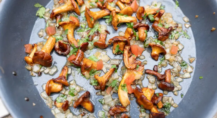 Pfifferlinge rezept: Goldgelbe Pfifferlinge braten mit Zwiebeln und Petersilie in einer Pfanne. Ein köstliches Gericht!