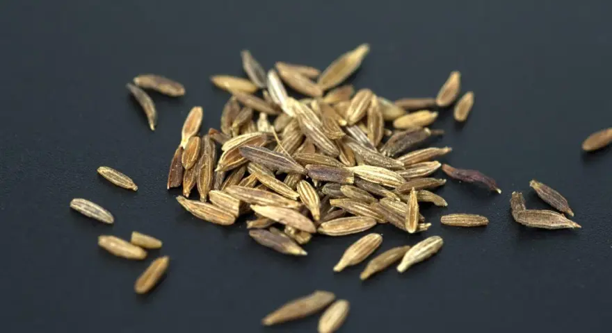 Ein Haufen brauner Kümmelsamen auf schwarzem Hintergrund. Was ist Cumin? Das sind diese Samen, die Gerichten ein würziges Aroma verleihen.