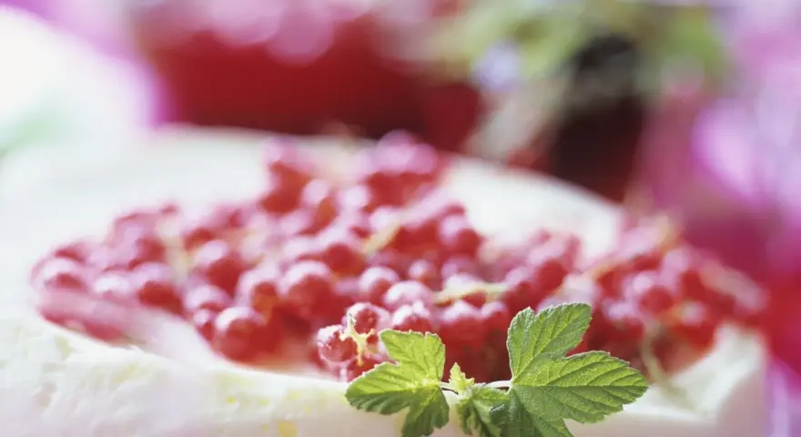 Ein cremiger Johannisbeerkuchen mit Quark, garniert mit frischen roten Johannisbeeren und grünen Blättern.