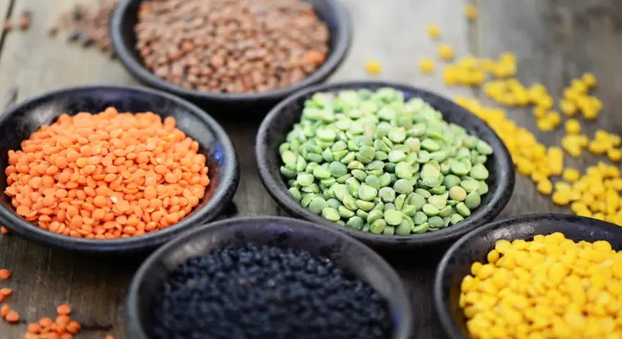 Schalen mit roten Linsen, grünen Erbsen, schwarzen Linsen und gelben Linsen. Rote Linsen Kalorien sind gering, perfekt für eine gesunde Ernährung.