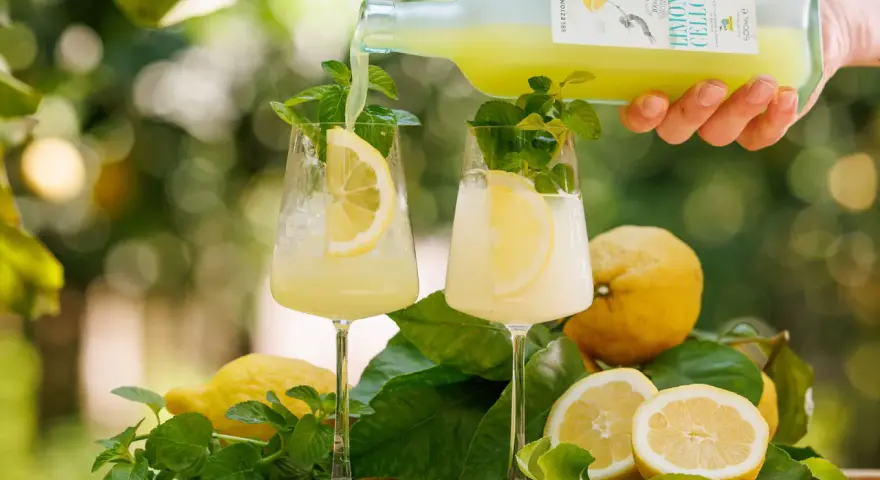 Zwei Gläser mit Limoncello Spritz, garniert mit Zitrone und Minze. Frische Zitronen und Blätter liegen daneben.