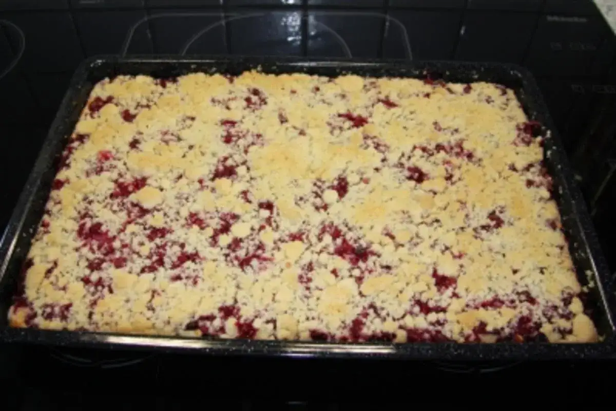 Frisch gebackener Johannisbeerkuchen mit Quark und Streuseln in einer rechteckigen Form.