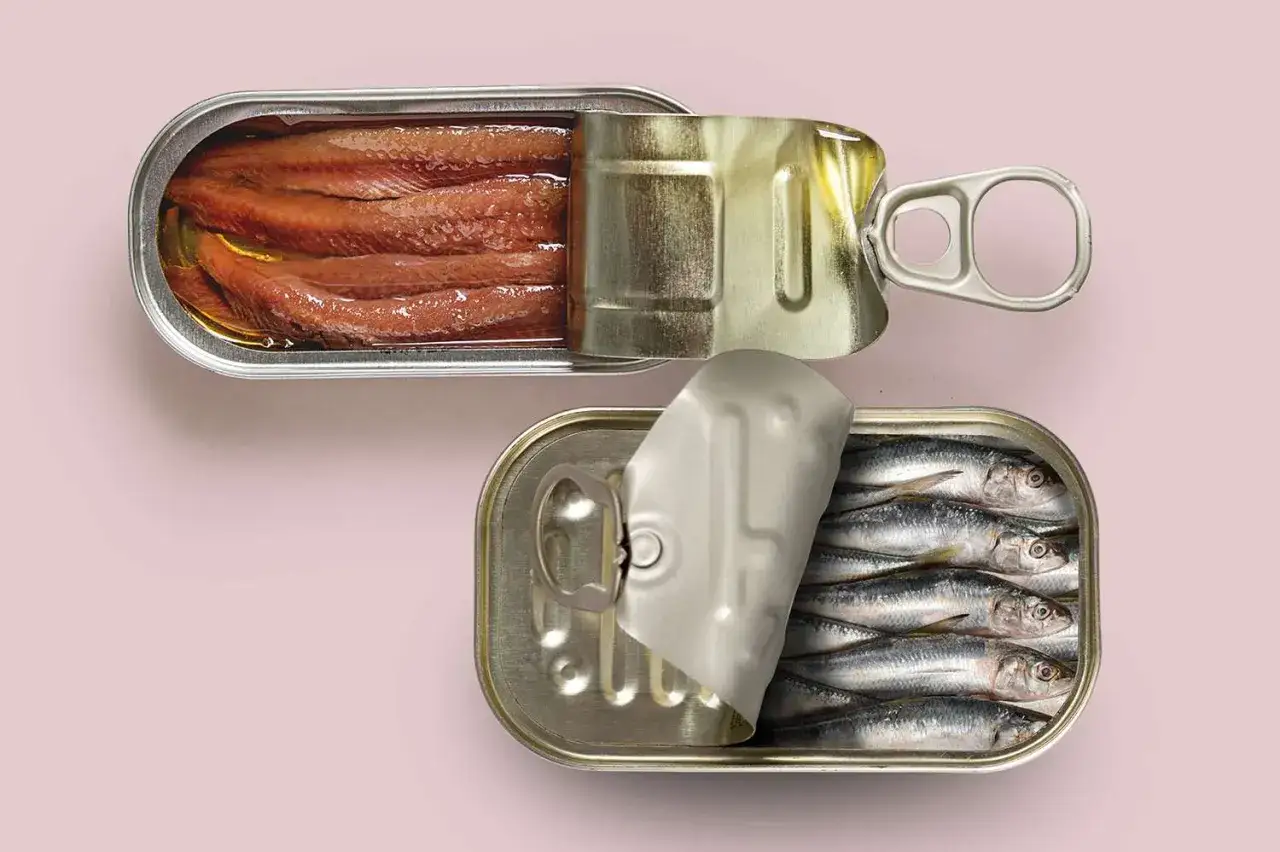 Der Unterschied zwischen Sardinen und Sardellen: Eine Dose mit roten Sardellen liegt neben einer Dose mit ganzen Sardinen.