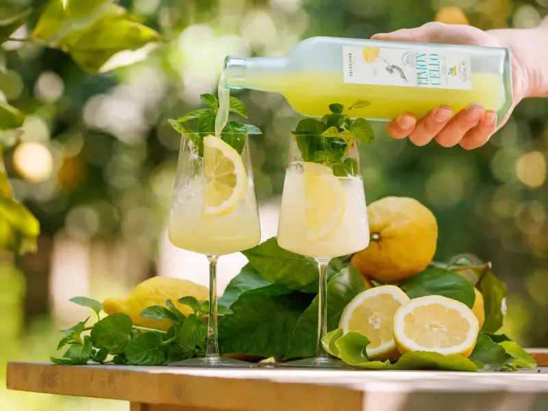 Zwei Gläser mit Limoncello Spritz, garniert mit Zitrone und Minze. Frische Zitronen und Blätter liegen daneben.